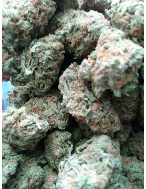 Blue Dream