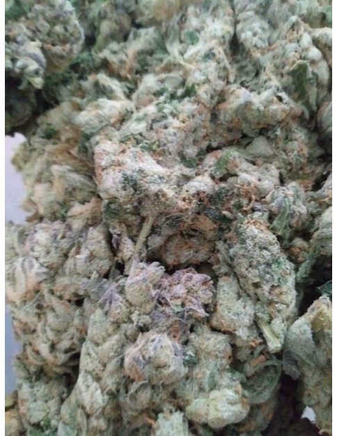 Orange Aid