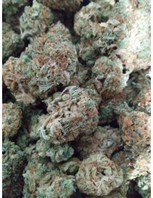 Tora Bora